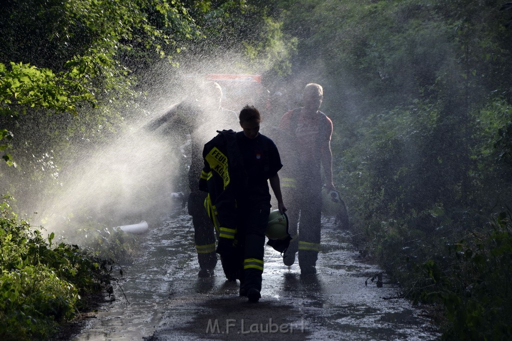 Waldbrand Koeln Hoehenhaus Hoehenfelder Mauspfad P189.JPG - Miklos Laubert